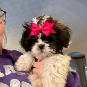 Meet your Posher, Kay